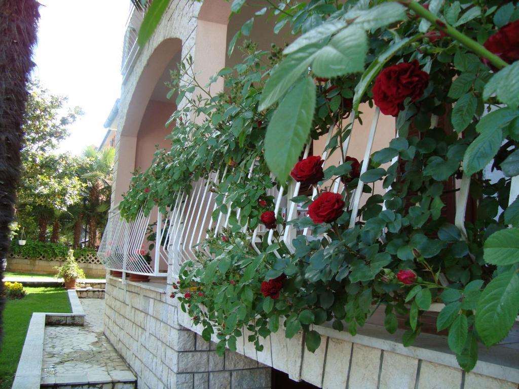 House Maric Apartamento Poreč Exterior foto